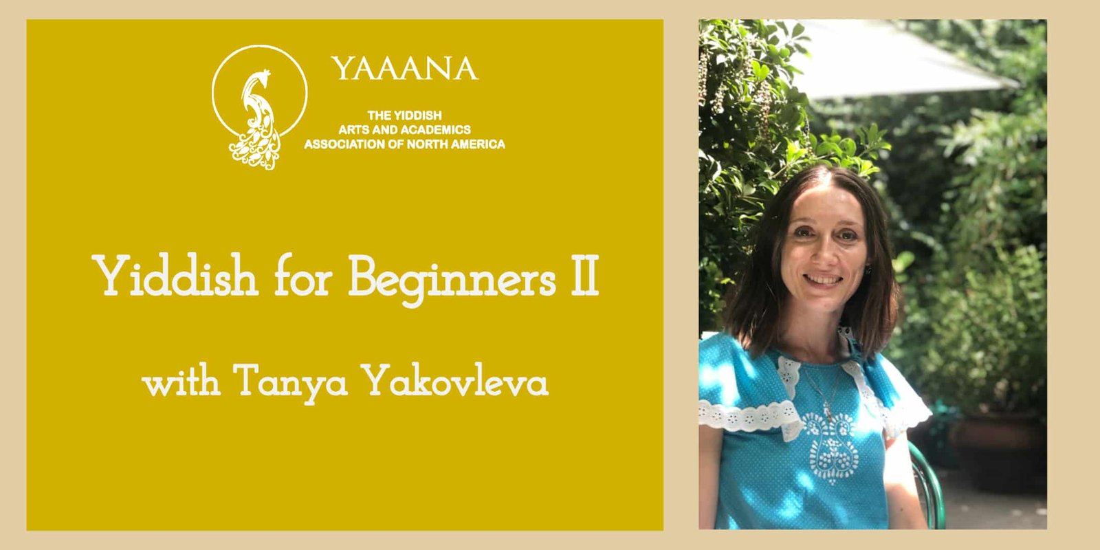 Yiddish for Beginners II